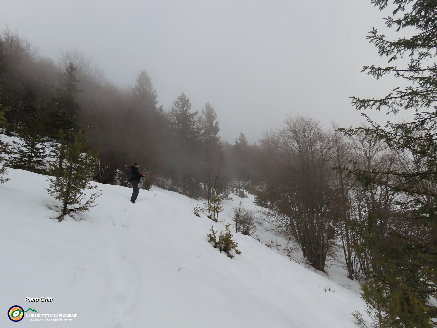 45 Arriva pure la nebbia.JPG